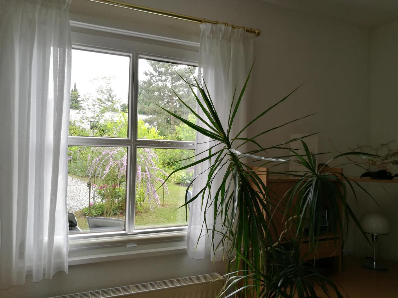 Apartment Haus Merlin Am Boeckelsberg 바이마르 외부 사진